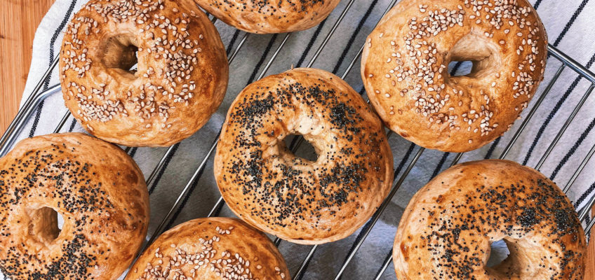 New York Style bagels resting on a baking rack